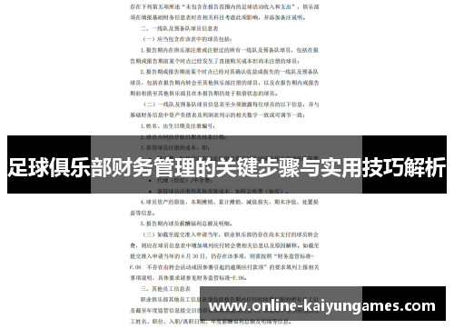 足球俱乐部财务管理的关键步骤与实用技巧解析 足球俱乐部财务管理的关键步骤与实用技巧解析